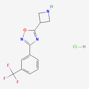 molecular formula C12H11ClF3N3O B1377663 5-Azetidin-3-yl-3-[3-(trifluoromethyl)phenyl]-1,2,4-oxadiazole hydrochloride CAS No. 1351659-00-1