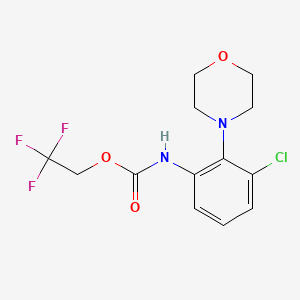 molecular formula C13H14ClF3N2O3 B1377665 2,2,2-trifluoroethyl N-[3-chloro-2-(morpholin-4-yl)phenyl]carbamate CAS No. 1375238-97-3