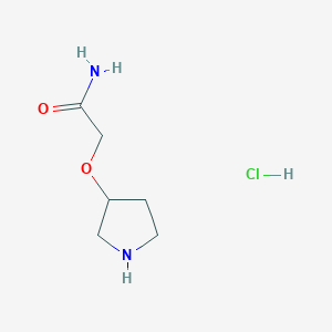 molecular formula C6H13ClN2O2 B1377742 2-(吡咯烷-3-氧基)乙酰胺盐酸盐 CAS No. 1375473-26-9
