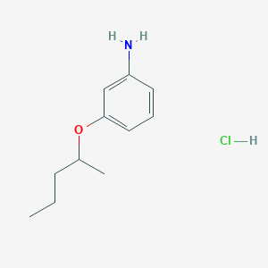 molecular formula C11H18ClNO B1377743 3-(Pentan-2-yloxy)aniline hydrochloride CAS No. 1375474-28-4