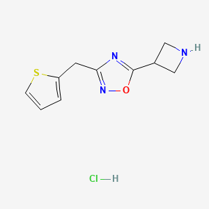 molecular formula C10H12ClN3OS B1377772 5-Azetidin-3-yl-3-(2-thienylmethyl)-1,2,4-oxadiazole hydrochloride CAS No. 1351644-48-8