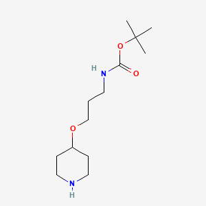 molecular formula C13H26N2O3 B1377814 tert-butyl N-[3-(piperidin-4-yloxy)propyl]carbamate CAS No. 1376134-81-4