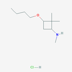 molecular formula C11H24ClNO B1377817 3-butoxy-N,2,2-trimethylcyclobutan-1-amine hydrochloride CAS No. 1375472-53-9