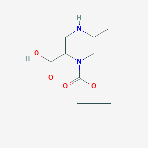 molecular formula C11H20N2O4 B1378064 1-Tert-butoxycarbonyl-5-methyl-piperazine-2-carboxylic acid CAS No. 1352719-65-3