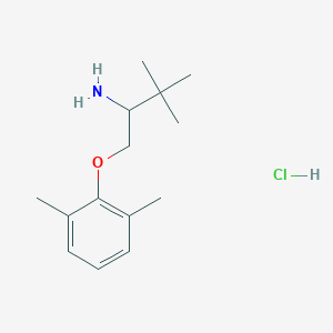 molecular formula C14H24ClNO B1378103 2-(2-氨基-3,3-二甲基丁氧基)-1,3-二甲苯盐酸盐 CAS No. 1384429-91-7