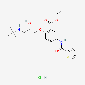 molecular formula C21H29ClN2O5S B13781116 Tienoxolol Hydrochloride CAS No. 97067-66-8