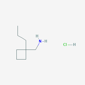 molecular formula C8H18ClN B1378132 (1-丙基环丁基)甲胺盐酸盐 CAS No. 1384745-74-7