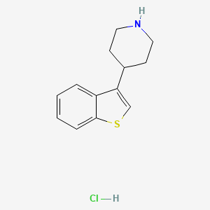 molecular formula C13H16ClNS B1378160 4-BENZO[B]THIOPHEN-3-YL-PIPERIDINE HYDROCHLORIDE CAS No. 56839-06-6