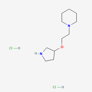 molecular formula C11H24Cl2N2O B1378258 1-[2-(Pyrrolidin-3-yloxy)ethyl]piperidine dihydrochloride CAS No. 1394042-26-2