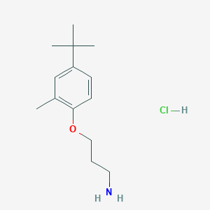 molecular formula C14H24ClNO B1378268 1-(3-Aminopropoxy)-4-tert-butyl-2-methylbenzene hydrochloride CAS No. 1394042-07-9