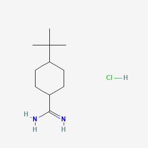 molecular formula C11H23ClN2 B1378269 4-Tert-butylcyclohexane-1-carboximidamide hydrochloride CAS No. 1394042-19-3