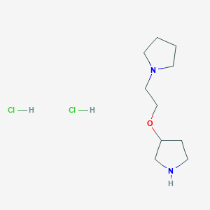 molecular formula C10H22Cl2N2O B1378275 1-[2-(Pyrrolidin-3-yloxy)ethyl]pyrrolidine dihydrochloride CAS No. 1394041-33-8