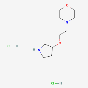molecular formula C10H22Cl2N2O2 B1378428 4-[2-(Pyrrolidin-3-yloxy)ethyl]morpholine dihydrochloride CAS No. 1394040-42-6