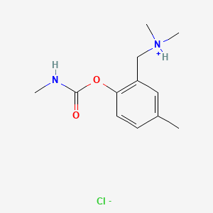 molecular formula C12H19ClN2O2 B13784463 dimethyl-[[5-methyl-2-(methylcarbamoyloxy)phenyl]methyl]azanium;chloride CAS No. 63982-38-7