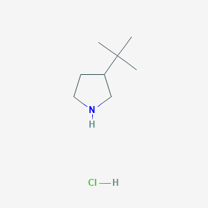 3-Tert-butylpyrrolidine hydrochloride