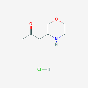 molecular formula C7H14ClNO2 B1378679 1-(吗啉-3-基)丙酮盐酸盐 CAS No. 1461715-62-7