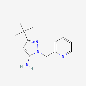 molecular formula C13H18N4 B1378763 3-tert-butyl-1-(pyridin-2-ylmethyl)-1H-pyrazol-5-amine CAS No. 1803580-80-4