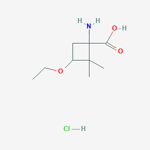 molecular formula C9H18ClNO3 B1378782 1-Amino-3-ethoxy-2,2-dimethylcyclobutane-1-carboxylic acid hydrochloride CAS No. 1796903-83-7