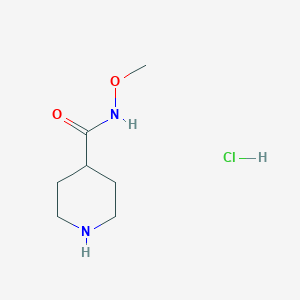 molecular formula C7H15ClN2O2 B1379036 N-methoxypiperidine-4-carboxamide hydrochloride CAS No. 1426290-51-8