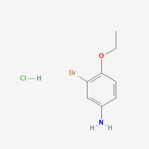 molecular formula C8H11BrClNO B1379440 3-Bromo-4-ethoxyaniline hydrochloride CAS No. 1803600-02-3
