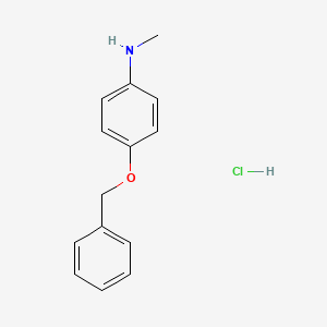molecular formula C14H16ClNO B1379463 4-(benzyloxy)-N-methylaniline hydrochloride CAS No. 1607289-69-9