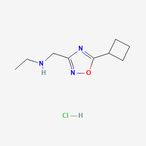 molecular formula C9H16ClN3O B1379661 N-[(5-Cyclobutyl-1,2,4-oxadiazol-3-yl)methyl]ethanamine hydrochloride CAS No. 1609395-47-2
