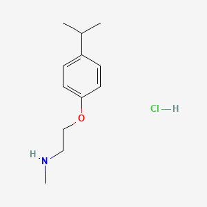 molecular formula C12H20ClNO B1379783 [2-(4-Isopropylphenoxy)ethyl]methylamine hydrochloride CAS No. 1609401-07-1