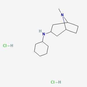 molecular formula C14H28Cl2N2 B1379790 N-环己基-8-甲基-8-氮杂双环[3.2.1]辛烷-3-胺二盐酸盐 CAS No. 1609396-68-0