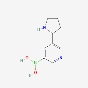 molecular formula C9H13BN2O2 B1379851 B-[5-(2-pyrrolidinyl)-3-pyridinyl]Boronic acid CAS No. 899437-13-9