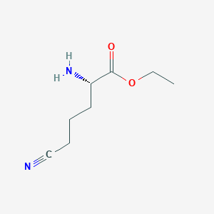 molecular formula C8H14N2O2 B13800992 Ethyl 6-nitrilo-L-norleucinate CAS No. 763883-57-4