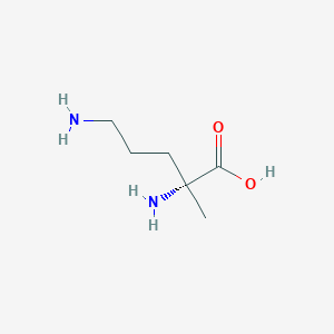 molecular formula C6H14N2O2 B13803310 D-Ornithine, 2-methyl- 