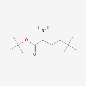 Tert-butyl 2-amino-5,5-dimethylhexanoate