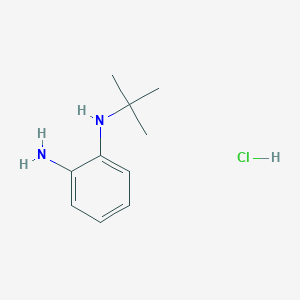 molecular formula C10H17ClN2 B1381073 N1-叔丁基苯-1,2-二胺盐酸盐 CAS No. 1803562-38-0