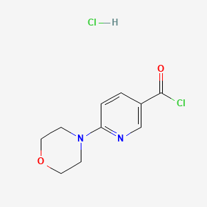 6-Morpholinonicotinoyl chloride hydrochloride