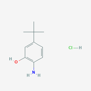 molecular formula C10H16ClNO B1381091 2-Amino-5-tert-butylphenol hydrochloride CAS No. 335013-48-4