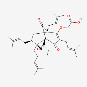 molecular formula C37H54O6 B1381203 Aristoforin CAS No. 849215-53-8