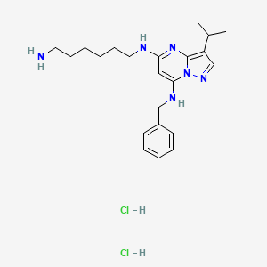 molecular formula C22H34Cl2N6 B1381285 BS-181 (dihydrochloride) CAS No. 1883548-83-1