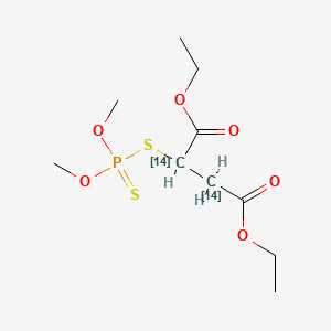molecular formula C10H19O6PS2 B13813168 Carbofos-2,3-14C 