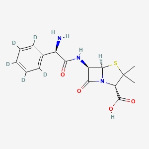 molecular formula C16H19N3O4S B1381323 Ampicillin-d5 CAS No. 1426173-65-0