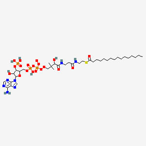 molecular formula C37H65N7O19P3S- B13814961 S-[2-[3-[[4-[[[5-(6-aminopurin-9-yl)-4-hydroxy-3-phosphonooxyoxolan-2-yl]methoxy-hydroxyphosphoryl]oxy-oxidooxyphosphoryl]peroxy-2-hydroxy-3,3-dimethylbutanoyl]amino]propanoylamino]ethyl] hexadecanethioate 