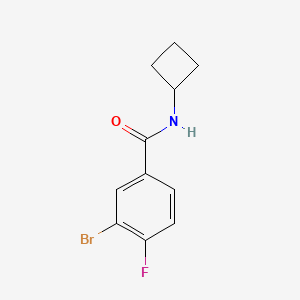 molecular formula C11H11BrFNO B1381564 3-Bromo-N-cyclobutyl-4-fluorobenzamide CAS No. 1870439-13-6