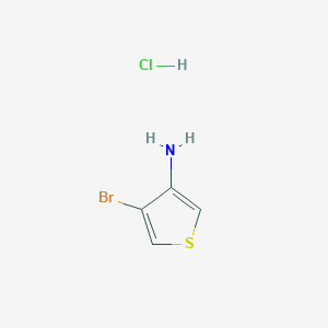 molecular formula C4H5BrClNS B1381833 4-Bromothiophen-3-amine hydrochloride CAS No. 1864015-49-5
