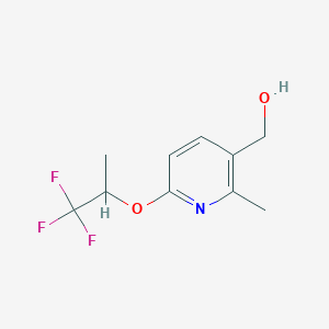 molecular formula C10H12F3NO2 B1381916 (2-Methyl-6-((1,1,1-trifluoropropan-2-yl)oxy)pyridin-3-yl)methanol CAS No. 1553934-13-6
