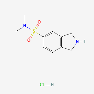 molecular formula C10H15ClN2O2S B1382167 N,N-dimethyl-2,3-dihydro-1H-isoindole-5-sulfonamide hydrochloride CAS No. 1798733-65-9