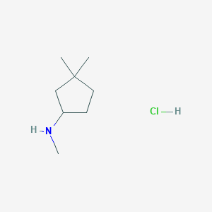 molecular formula C8H18ClN B1382168 N,3,3-trimethylcyclopentan-1-amine hydrochloride CAS No. 1795496-81-9