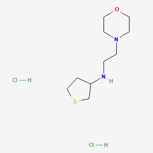 N-[2-(morpholin-4-yl)ethyl]thiolan-3-amine dihydrochloride
