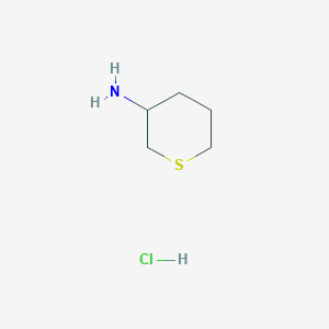 molecular formula C5H12ClNS B1382522 Thian-3-amine hydrochloride CAS No. 1803609-59-7