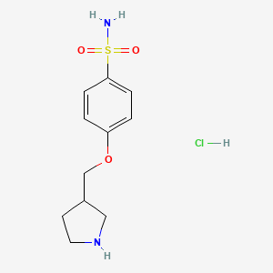 4-(Pyrrolidin-3-ylmethoxy)benzene-1-sulfonamide hydrochloride