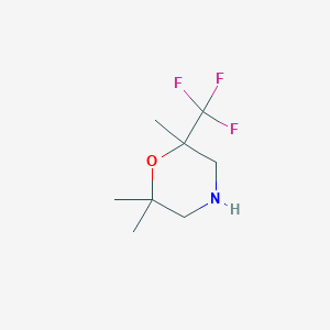 molecular formula C8H14F3NO B1382551 2,2,6-Trimethyl-6-(trifluoromethyl)morpholine CAS No. 1803610-13-0