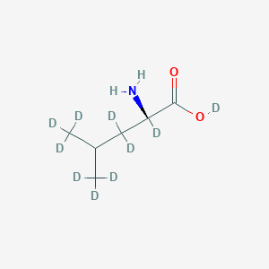 molecular formula C6H13NO2 B13826243 L-Leucine-2,3,3,4,5,5,5,5',5',5'-D10 